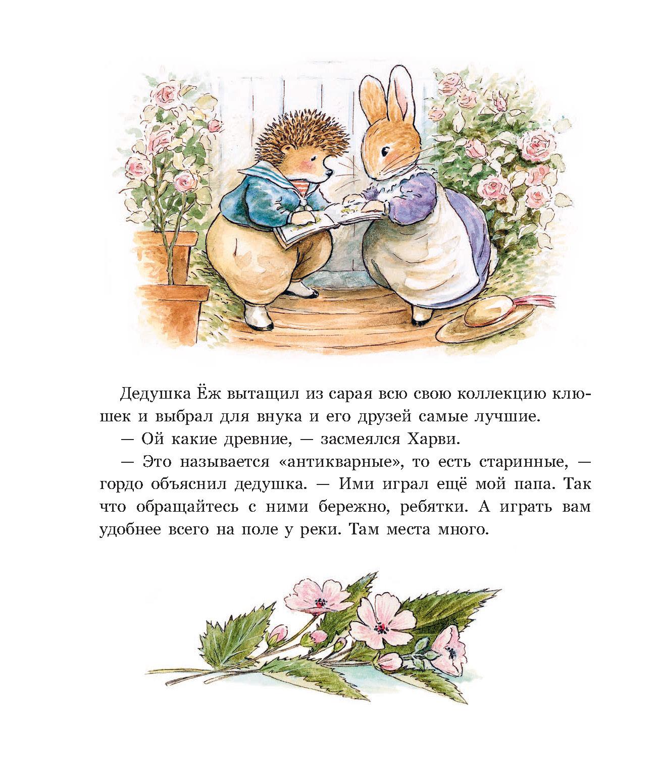 Книга Стрекозa Заколдованная долина - фото 9