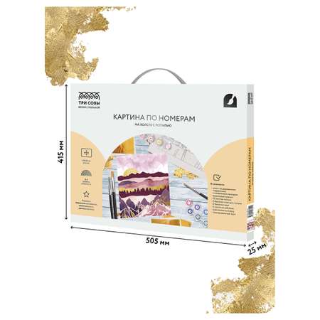 Картина по номерам ТРИ СОВЫ