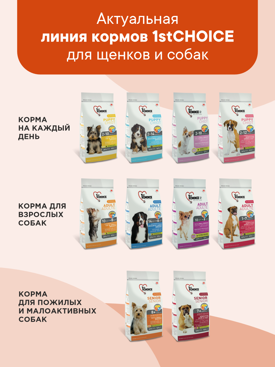 Корм сухой 1st Choice для пожилых собак мелких пород на курице 2.72кг - фото 10