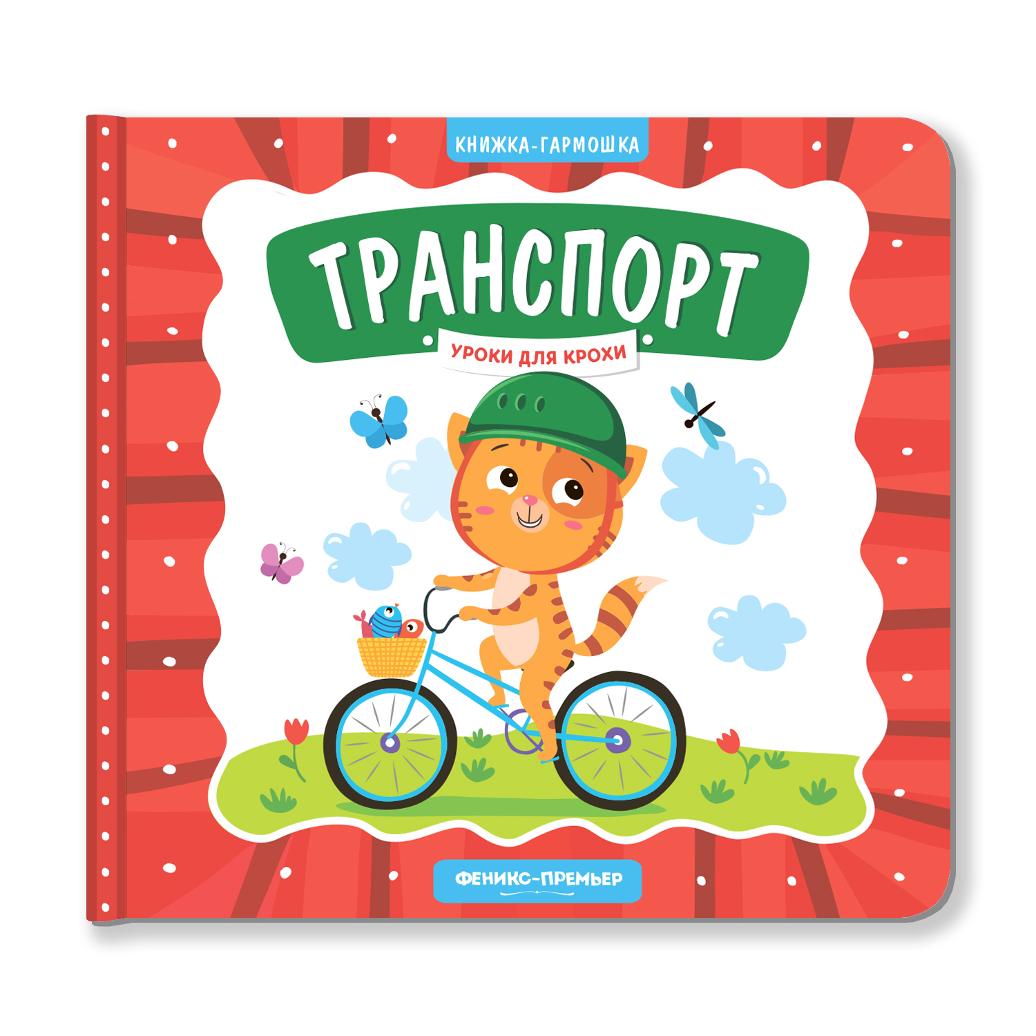 Книжка-гармошка Феникс Премьер Транспорт. Познавательная книжка-гармошка - фото 1