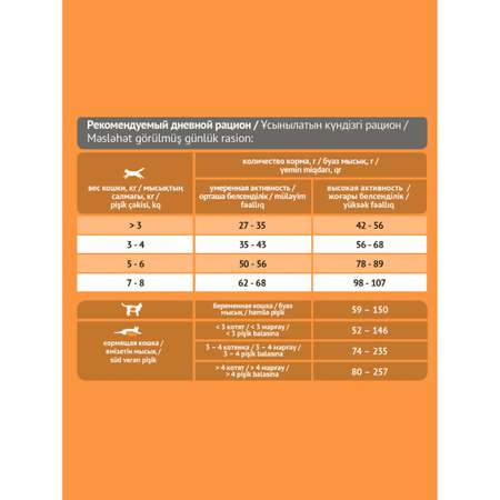 Корм для кошек Probalance 10кг Adult Immuno лосось сухой