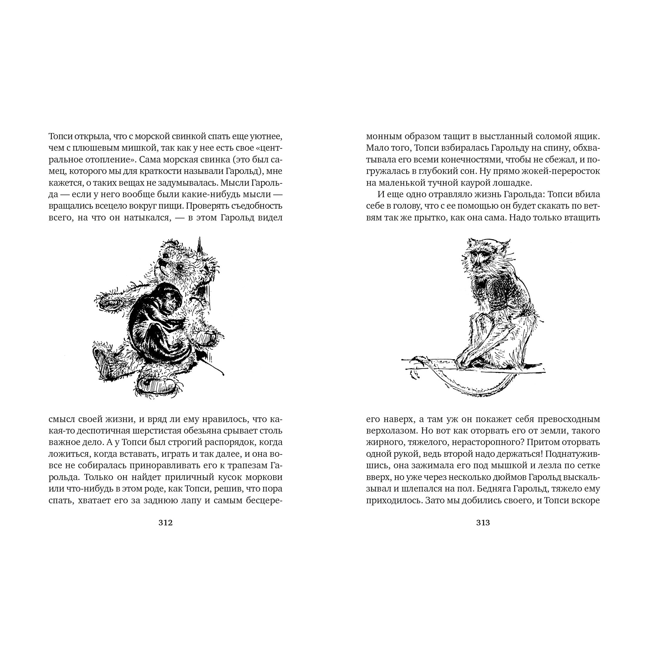 Книга АЗБУКА Земля шорохов. Поместье-зверинец Даррелл Дж. Серия: Мир приключений (иллюстрированный) - фото 8