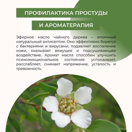 Масло Siberina Чайное дерево