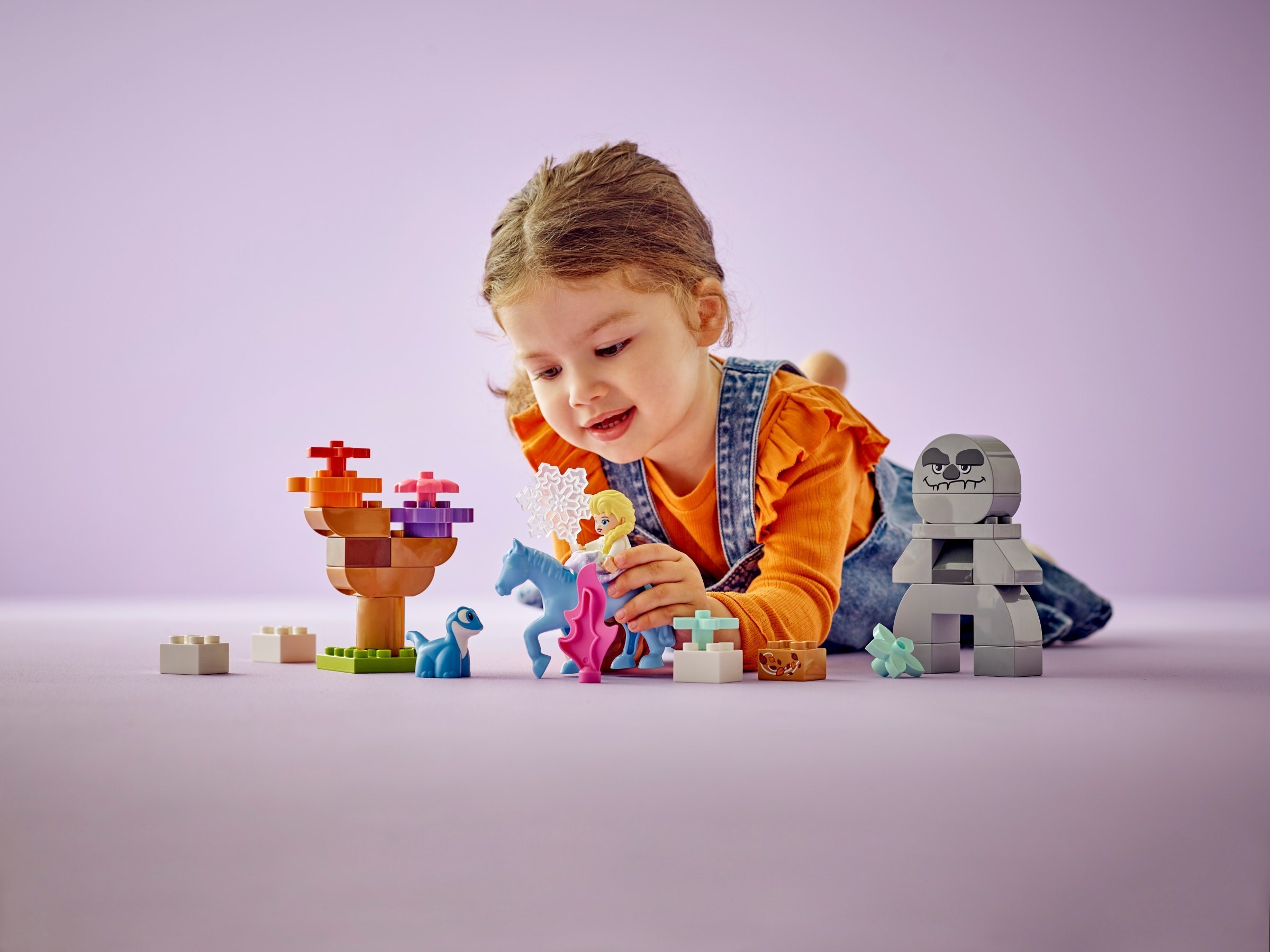 Конструктор LEGO DUPLO 10418 31 дет. - фото 3