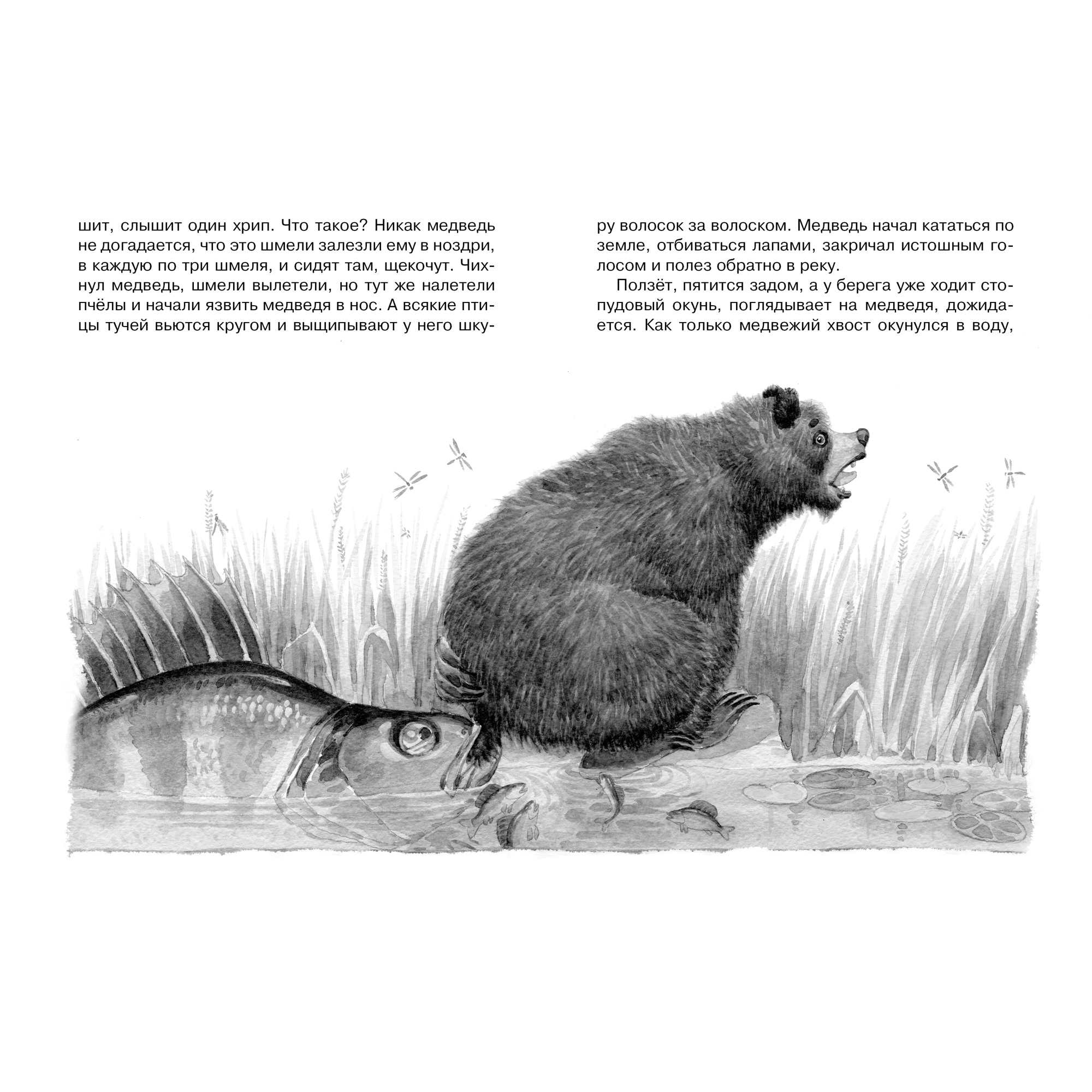 Книга Махаон Кот-ворюга. Рассказы и сказки - фото 6