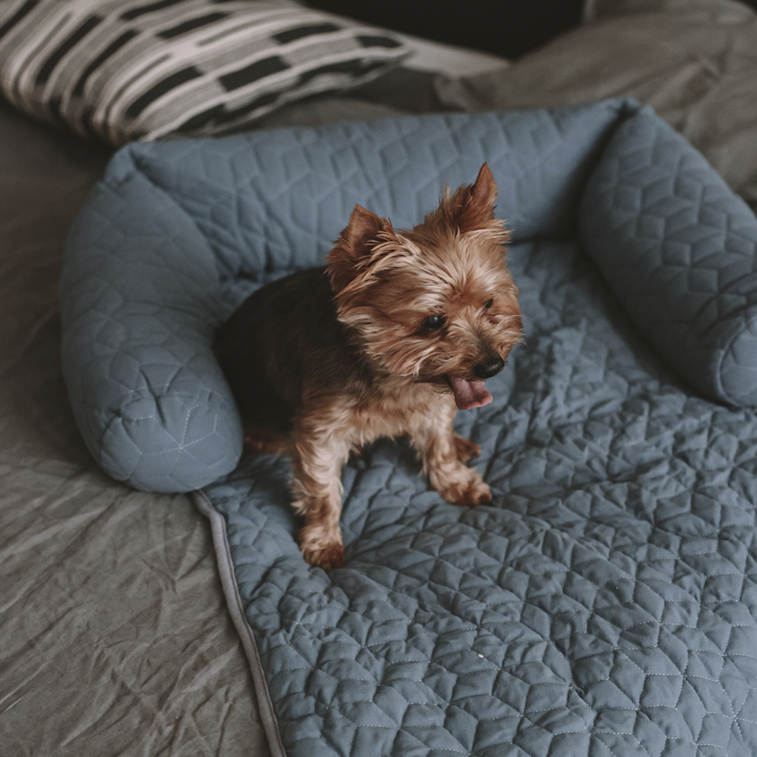 Лежак для собак Не один дома Sofa - фото 8