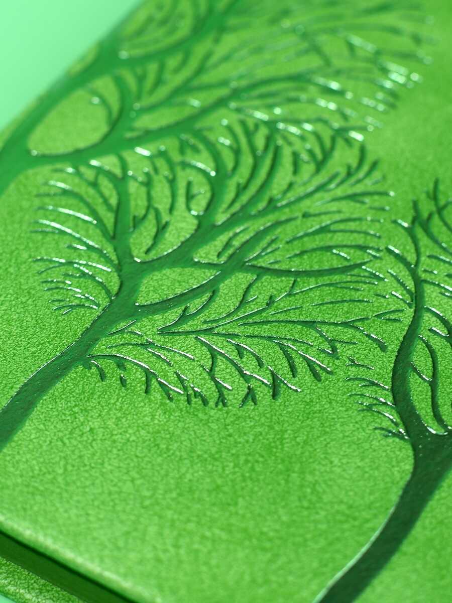 Ежедневник Феникс + ESCALADA 120 лист. - фото 13