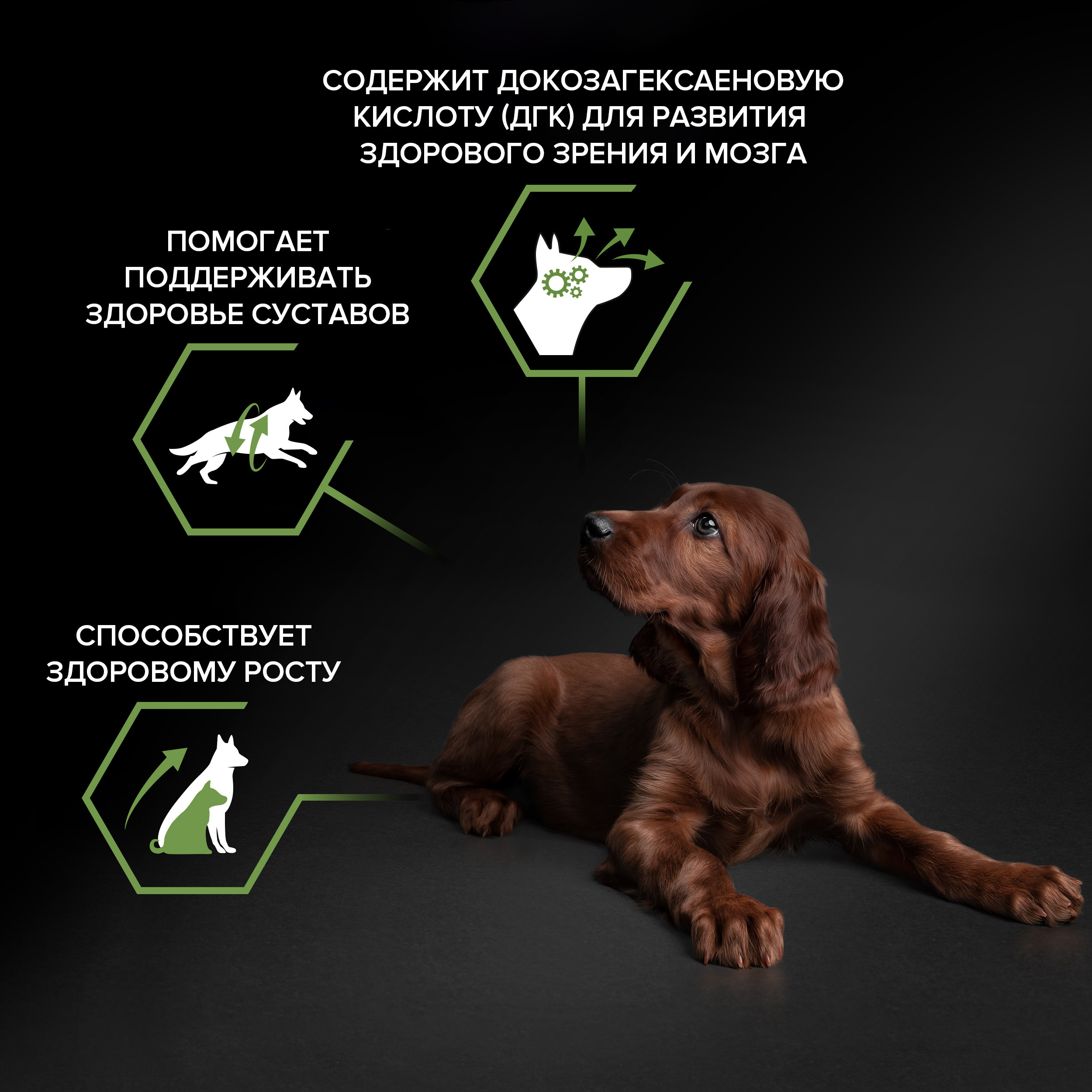 Корм сухой для щенков PRO PLAN HEALTHY START 12 кг с курицей для крупных пород - фото 4