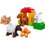 Конструктор LEGO DUPLO 12 дет.