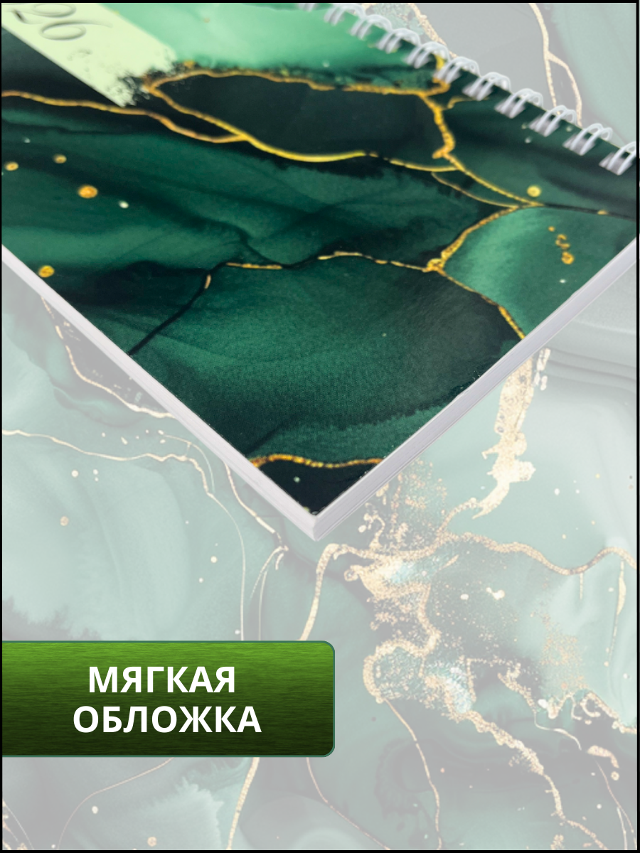 Ежедневник AXLER 64 лист. - фото 3