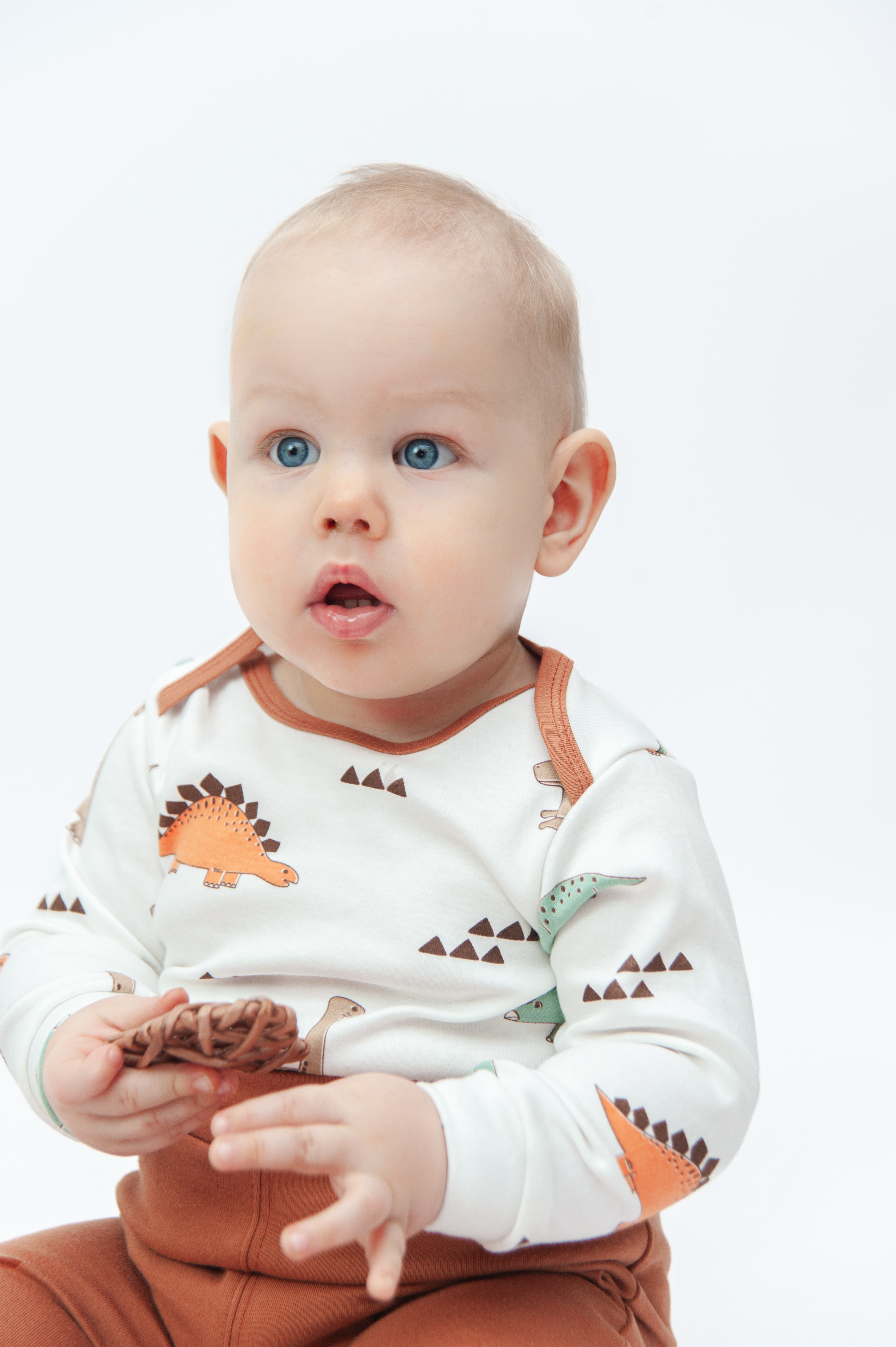 Комплект ЯРКО 05060 ИК Дино/терракот - фото 4