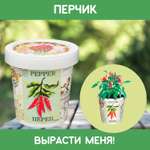 Набор для выращивания Rostok Visa