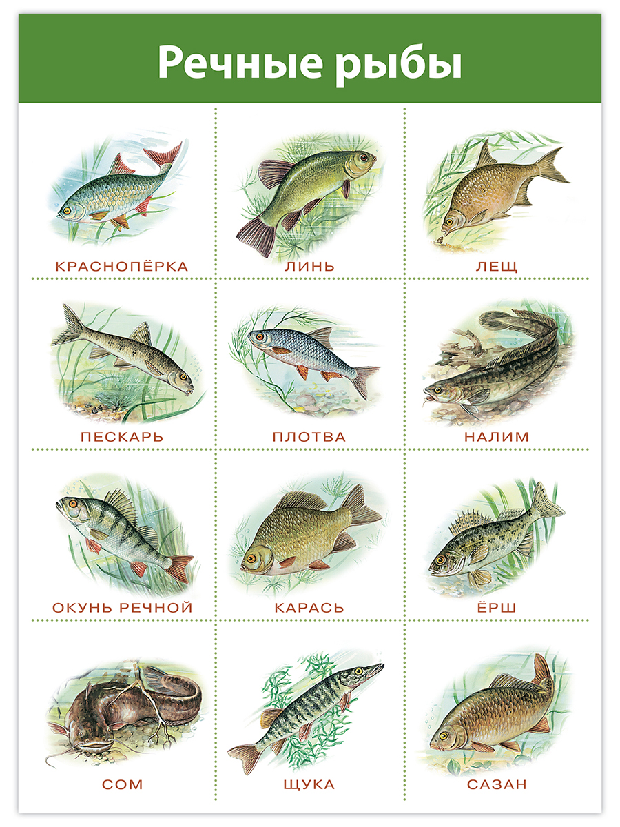 Настольная игра Дрофа-Медиа - фото 3