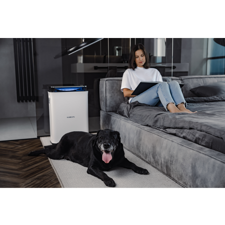 Климатический комплекс GARLYN AirClean V42