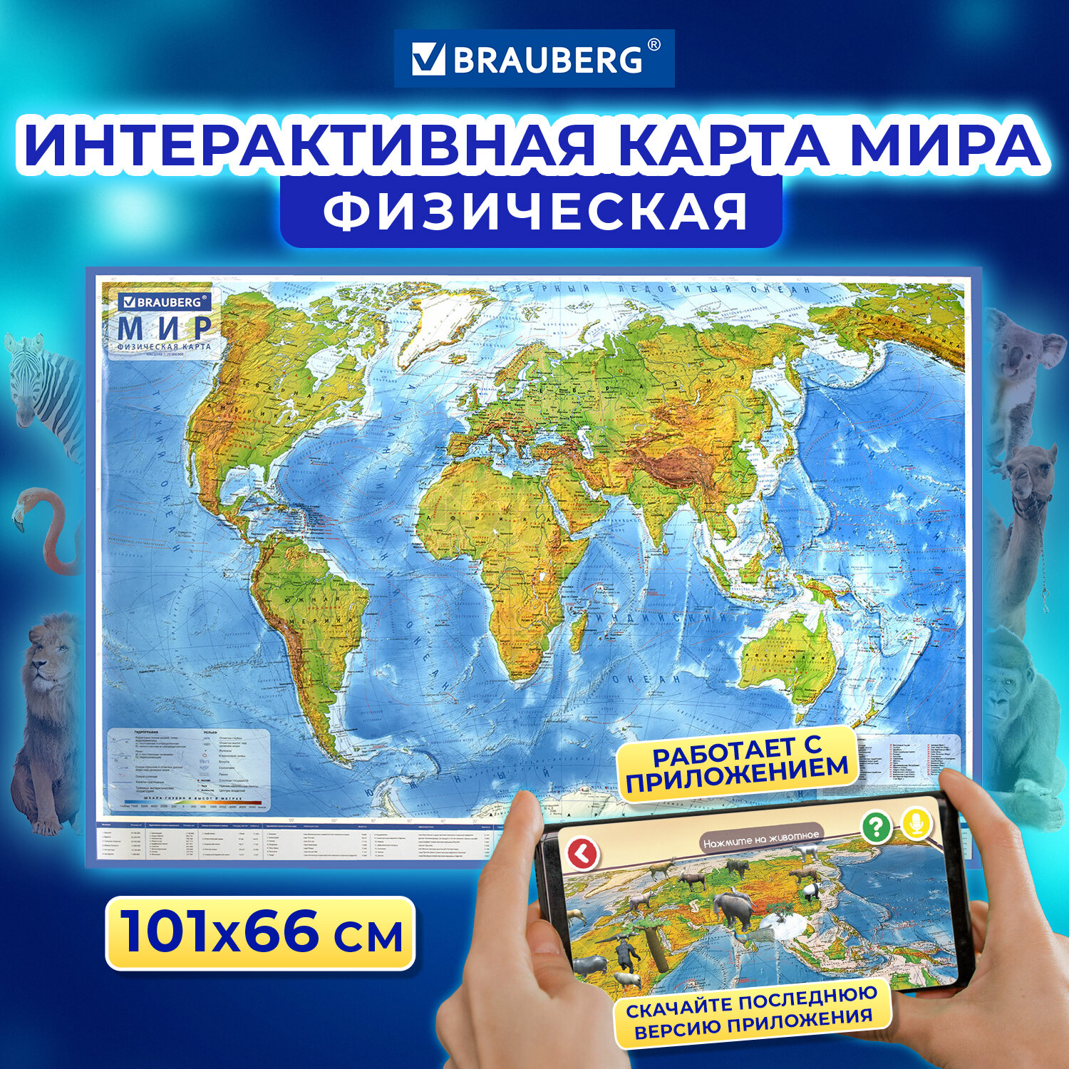 Карта мира Brauberg физическая 101х66 см 1:29М с ламинацией интерактивная в тубусе - фото 1