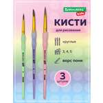 Кисть Brauberg 3 шт. (пони)