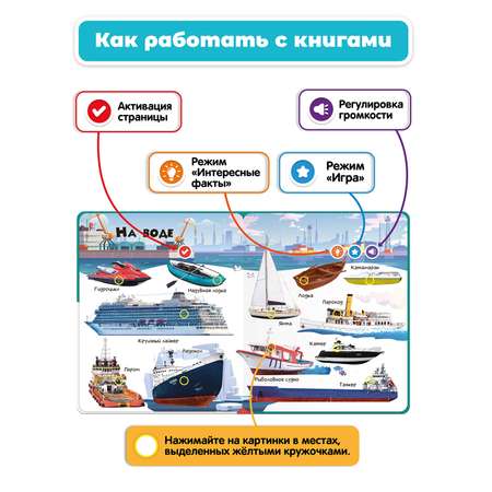 Комплект говорящих книжек BertToys Нажималки: Транспорт + Формы