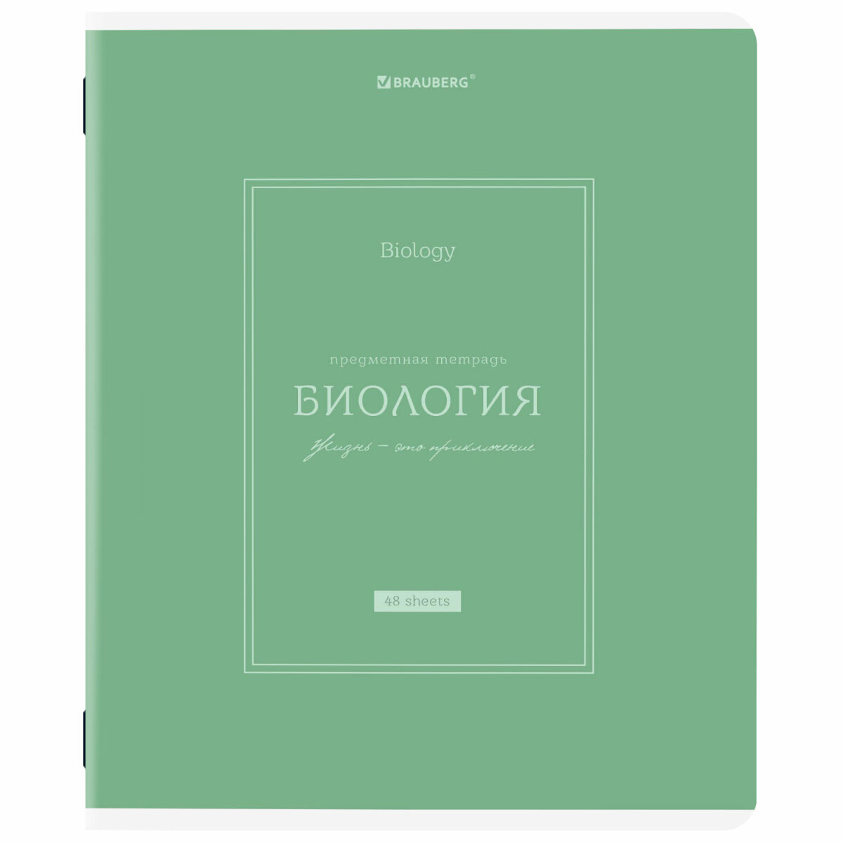 Тетрадь Brauberg 48 лист. 12 шт. - фото 20