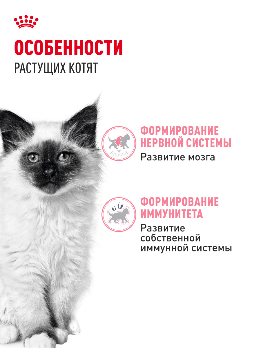 Корм влажный для котят ROYAL CANIN Kitten Instictive 85г желе пауч 77850 - фото 2