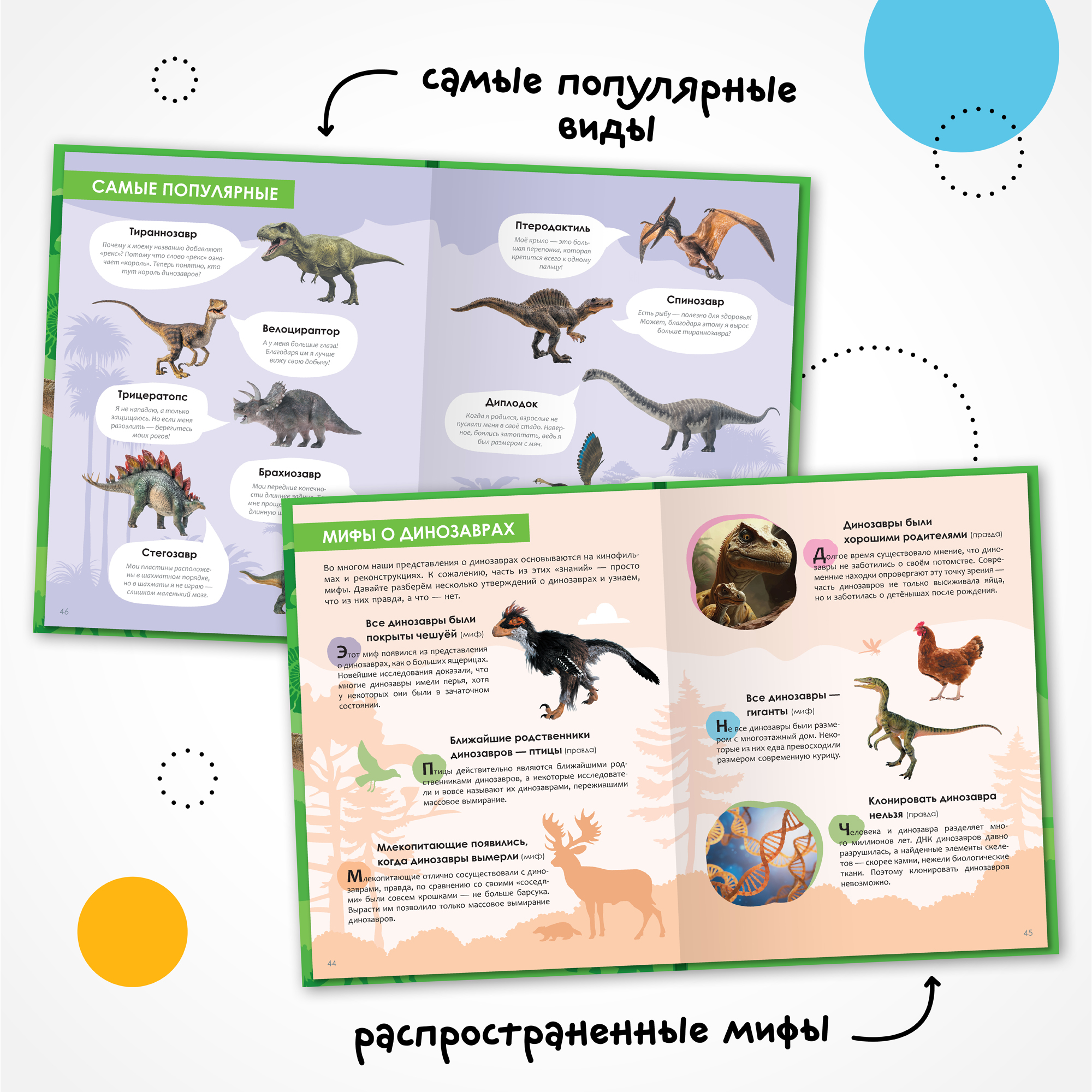 Набор МОЗАИКА kids Энциклопедии для мальчиков. 2 книги о транспорте и динозаврах - фото 11