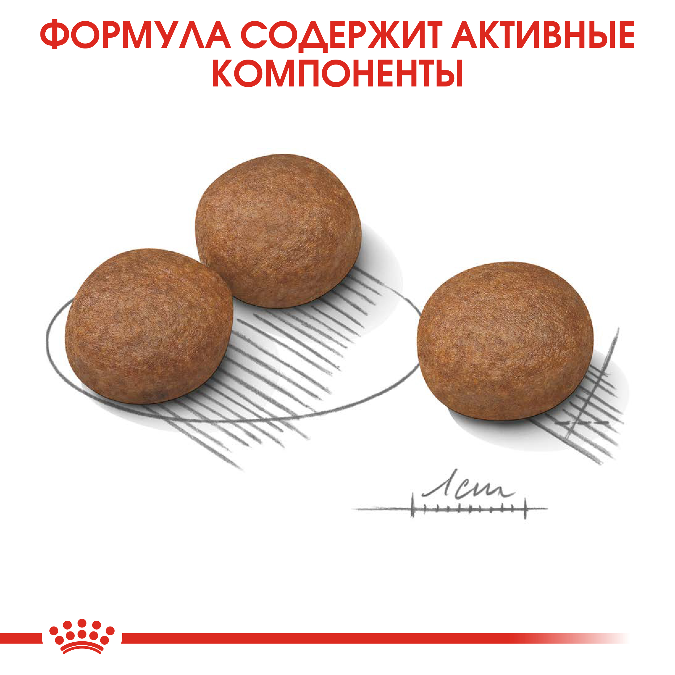 Корм для собак Royal Canin 12кг Medium Digestive Care cредних сухой - фото 2