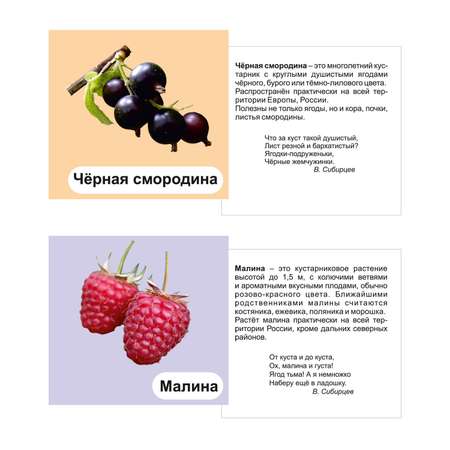 Карточки Учитель Ягоды