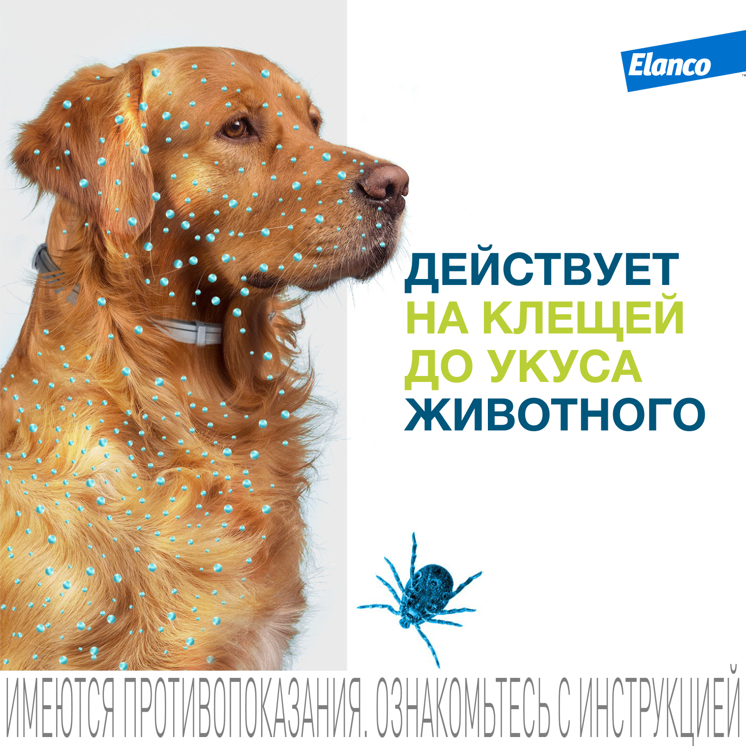 Ошейник для собак Elanco Foresto более 8кг от блох и клещей защита 8месяцев 70см 65494 - фото 4