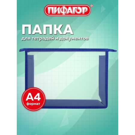 Папка для тетрадей Пифагор А4