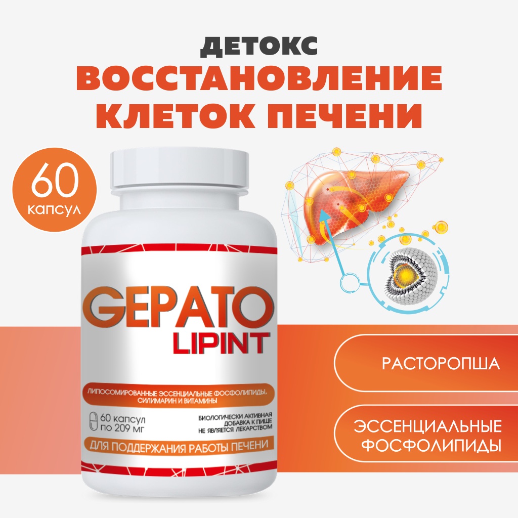 БАД VECTOR-MEDICA Гепатолипинт Для защиты печени, капсулы 209 мг №60 - фото 1