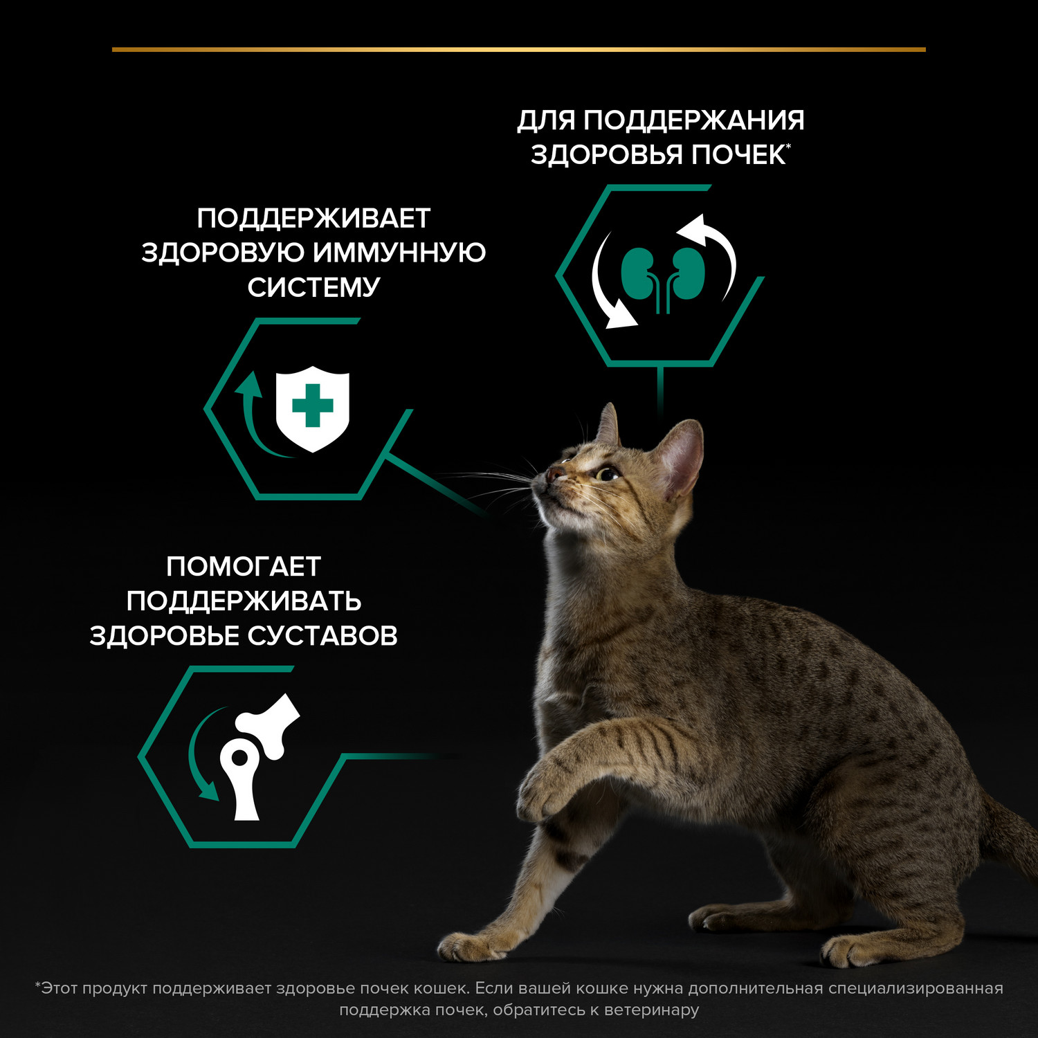 Корм сухой для кошек PRO PLAN 1.5кг с курицей - фото 4