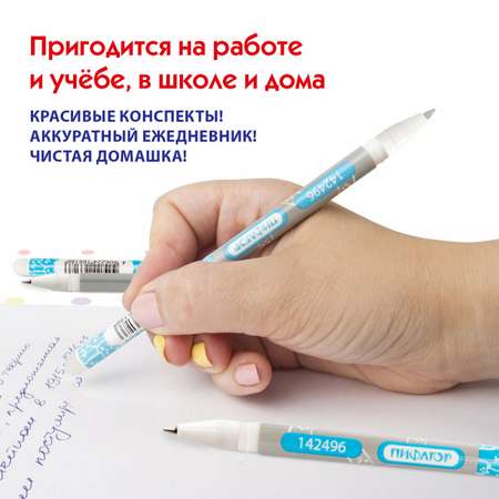 Ручка со стираемыми чернилами Пифагор 12 шт.