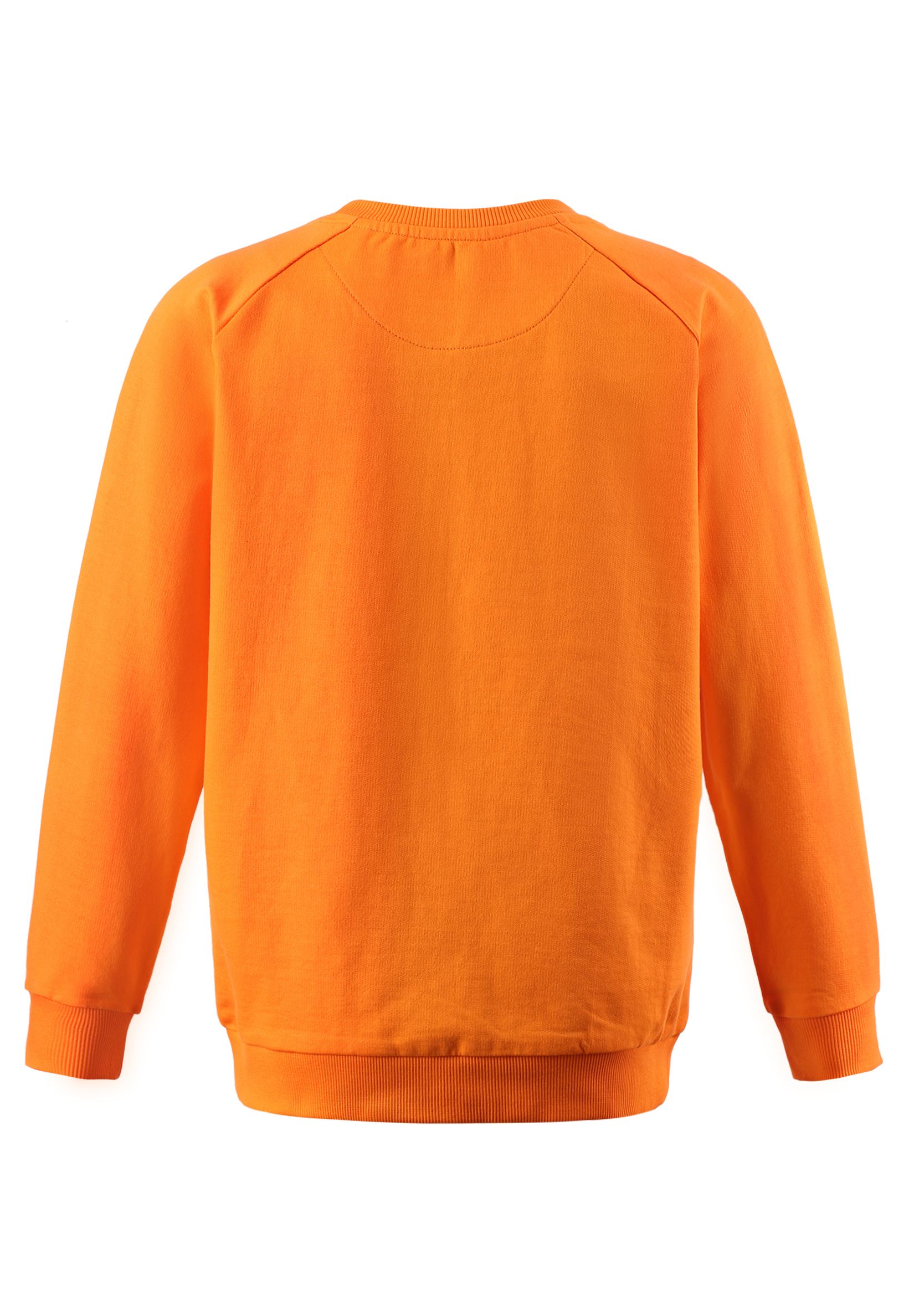 Свитшот Reima 536530-2720 - фото 2