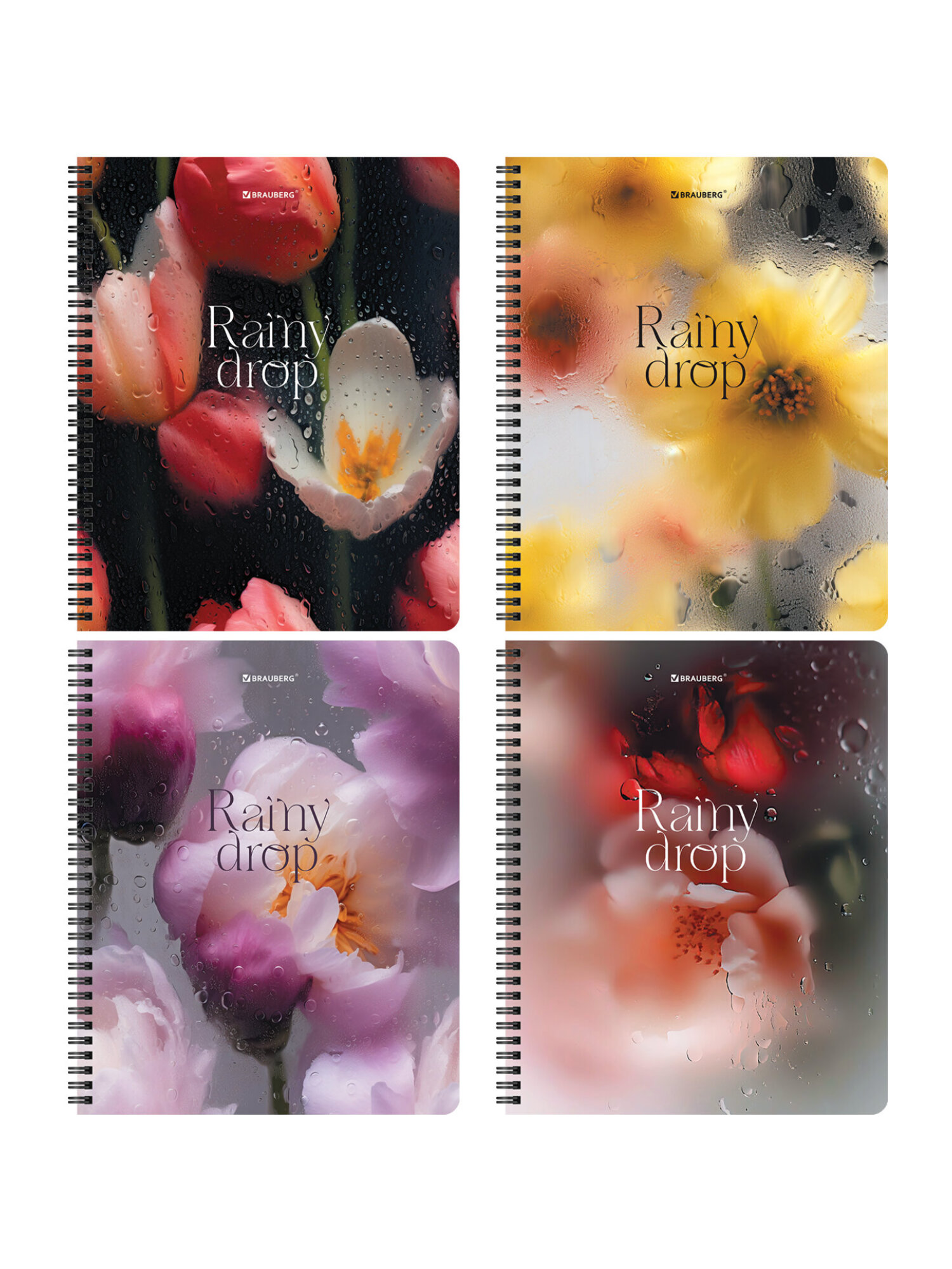 Тетрадь Brauberg клетка 48 лист. 4 шт. - фото 5