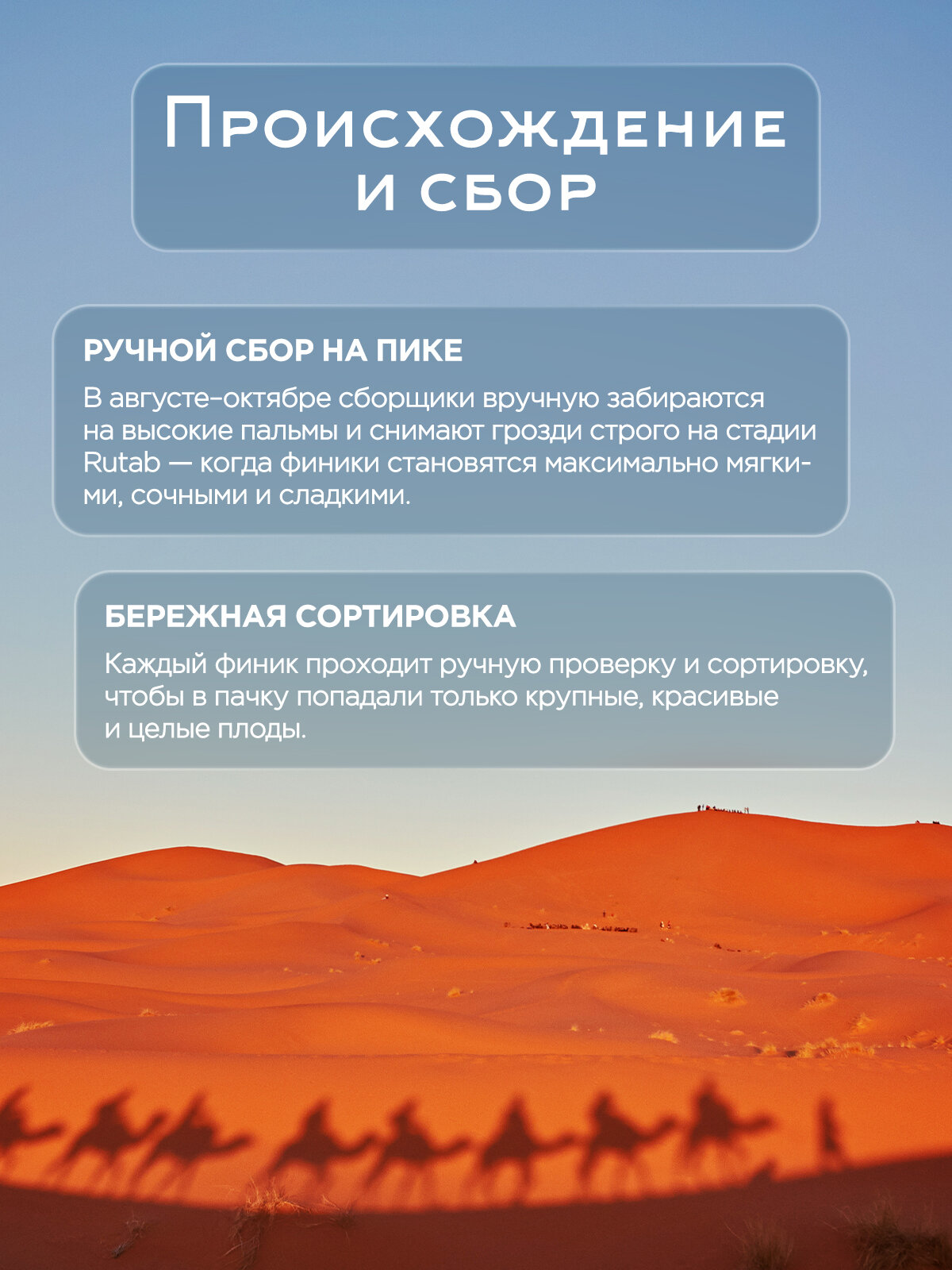 Финики Narmak Мазафати без сахара натуральные 500 гр - фото 4