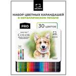 Карандаши цветные Малевичъ 30 шт.