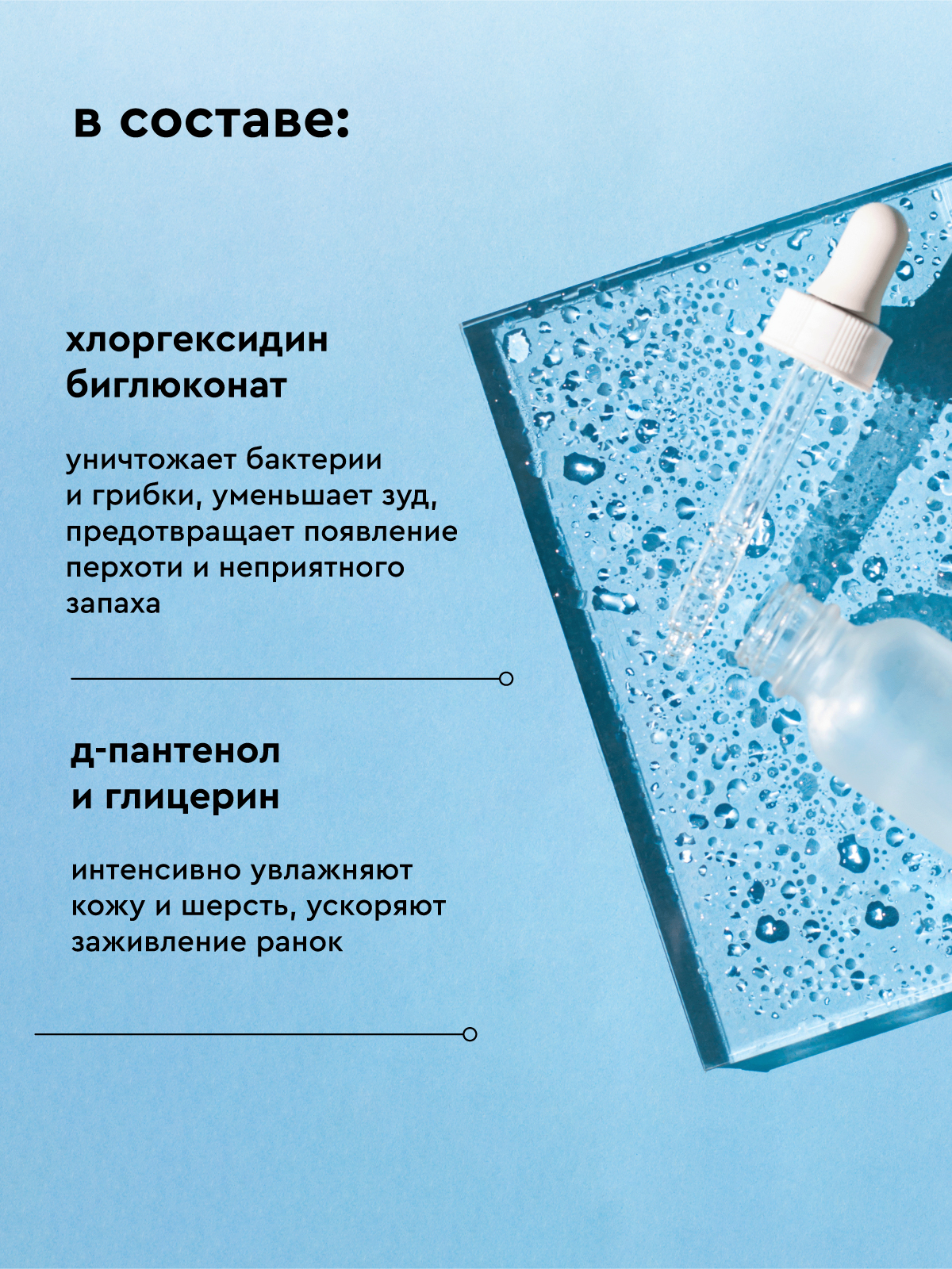 Шампунь для собак и кошек Pamilee с хлоргексидином антибактериальный против зуда и запаха - фото 10