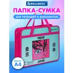 Папка для тетрадей Brauberg
