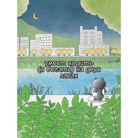 Книга Махаон Пушистый шеф.