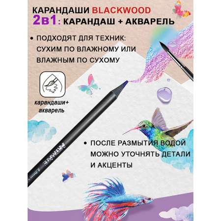Карандаши акварельные ACMELIAE 13 шт.