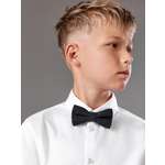 Галстук-бабочка Acoola