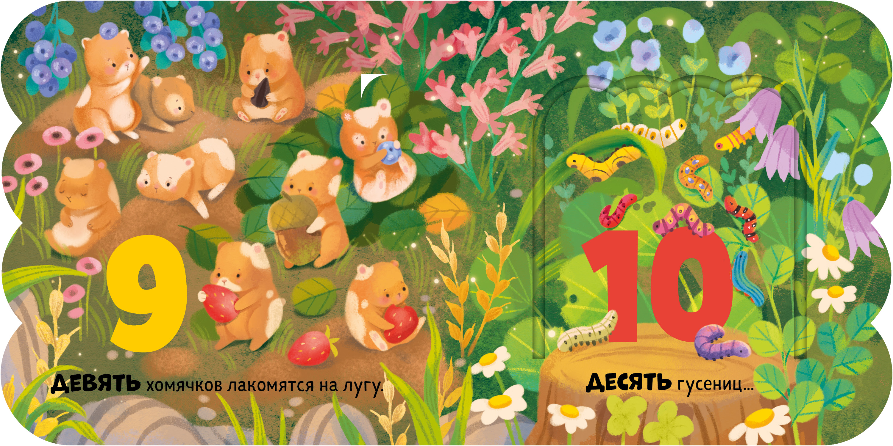 Первый счёт Clever Книжка с окошками - фото 3