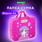 Папка для тетрадей Brauberg А4