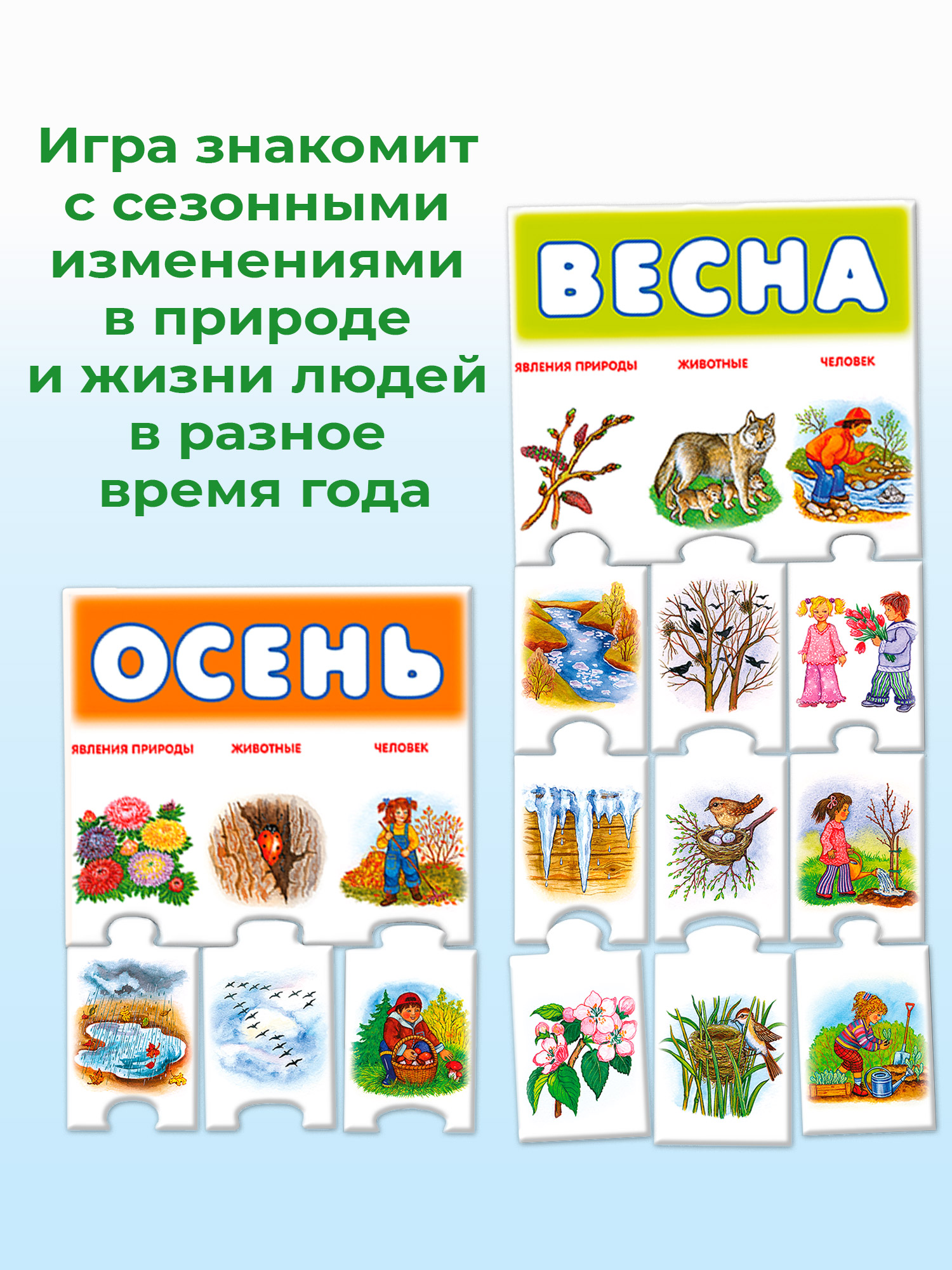 Игра развивающая Дрофа-Медиа Времена года 1117 - фото 2