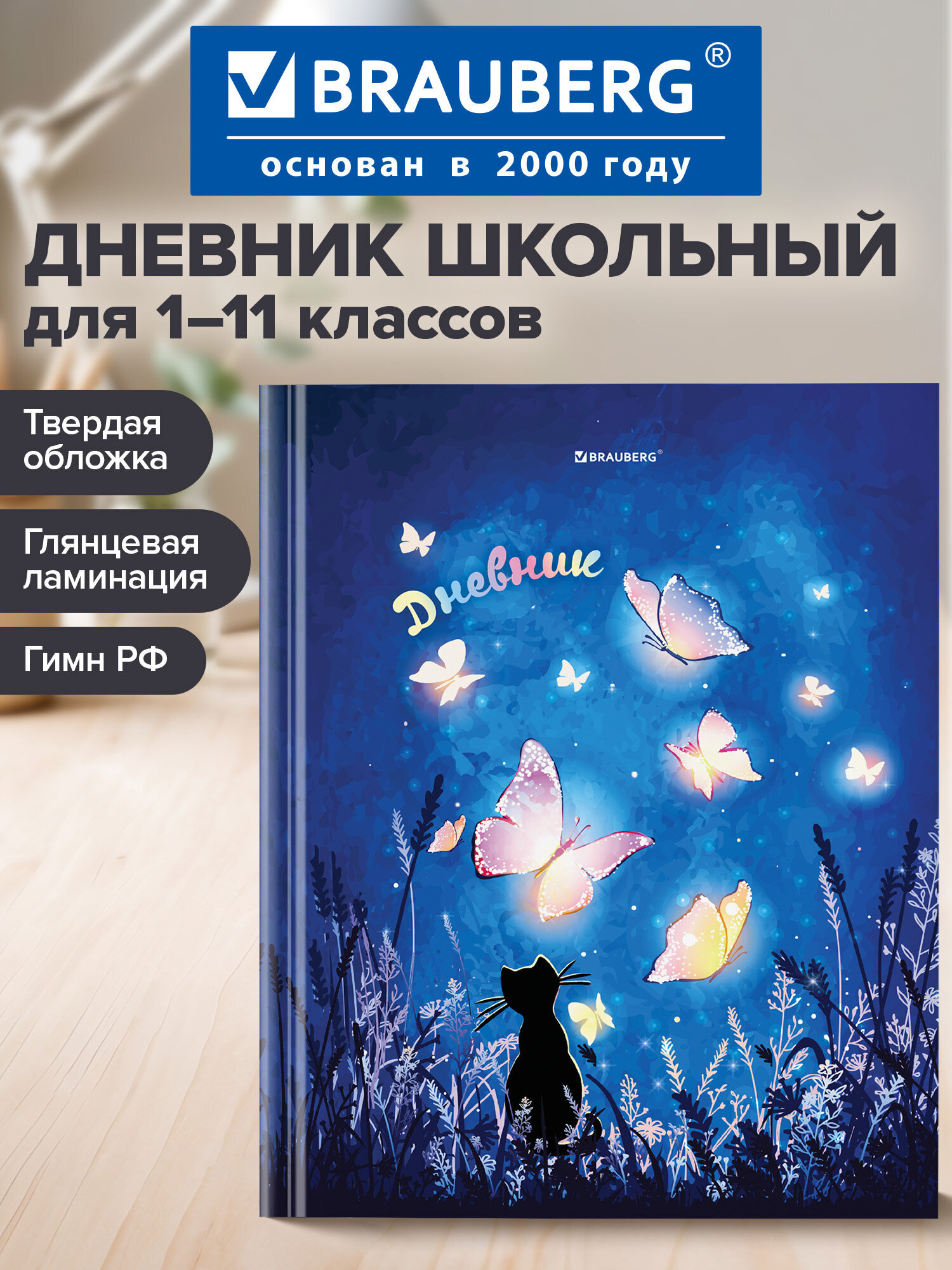 Дневник школьный Brauberg для 1-11 классов для мальчика 48 листов - фото 1