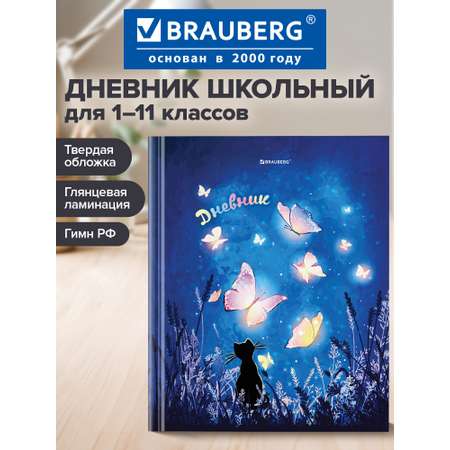 Дневник школьный Brauberg для 1-11 классов для мальчика 48 листов