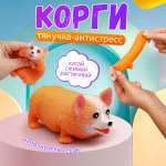Сквиш ЭВРИКА