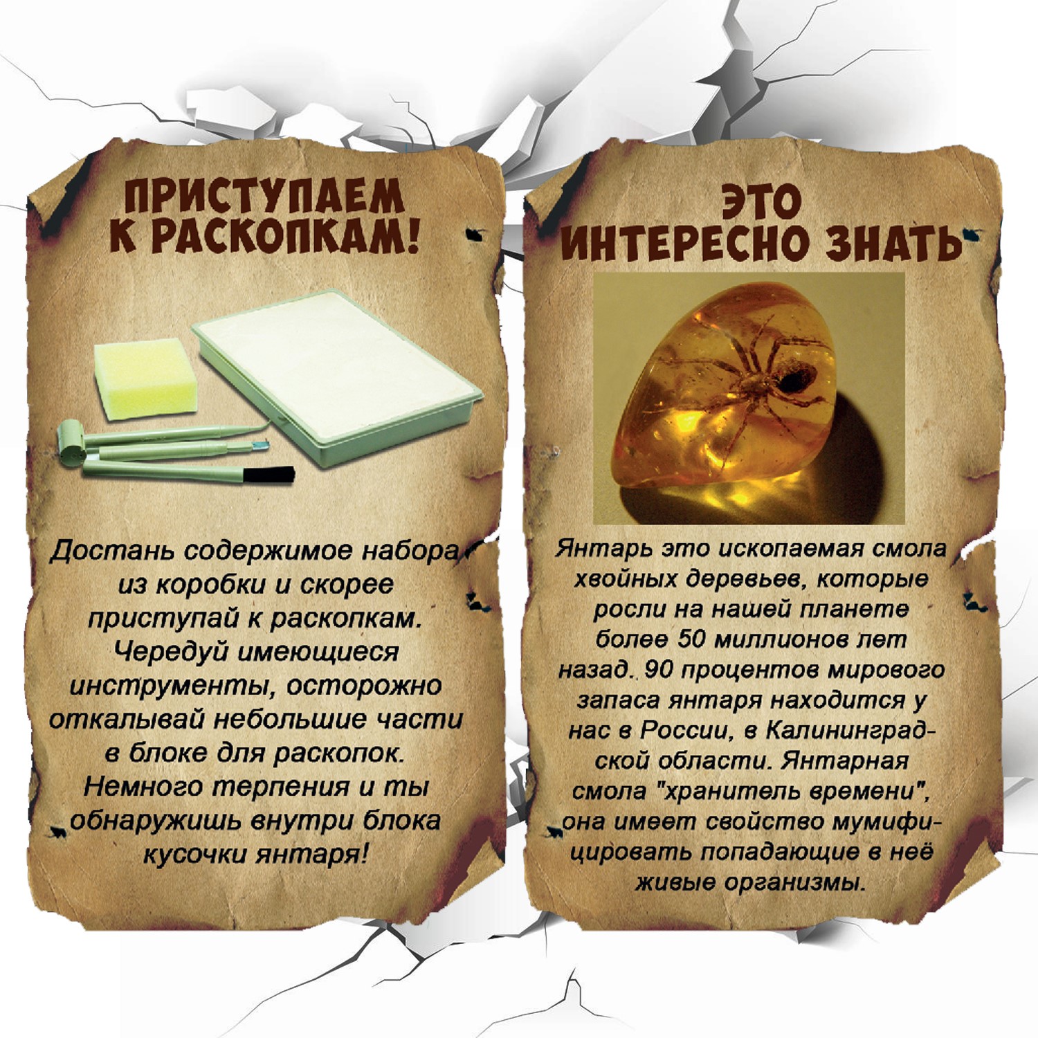 Набор для раскопок Bondibon Найди сокровища Янтарь - фото 6
