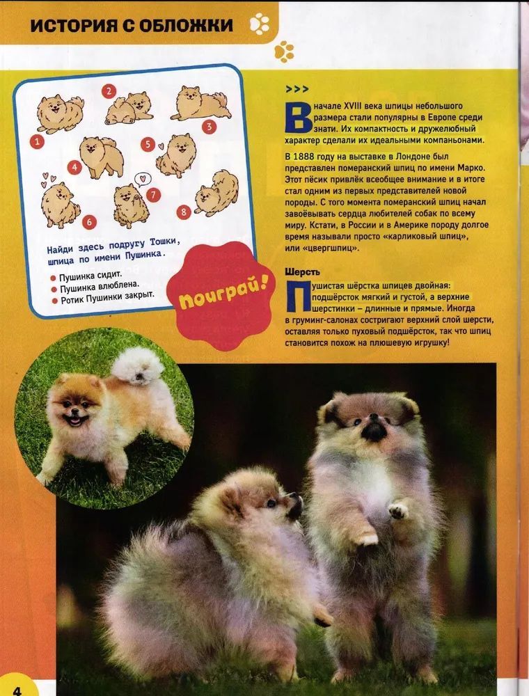 Набор журналов ИД Лев Детские журналы - фото 4