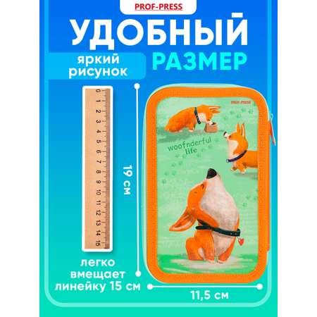 Пенал книжка Prof-Press