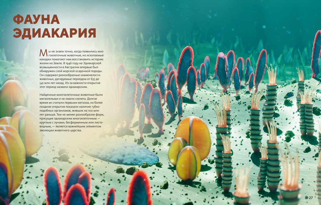 Книга Махаон Огромная энциклопедия животных мира - фото 8